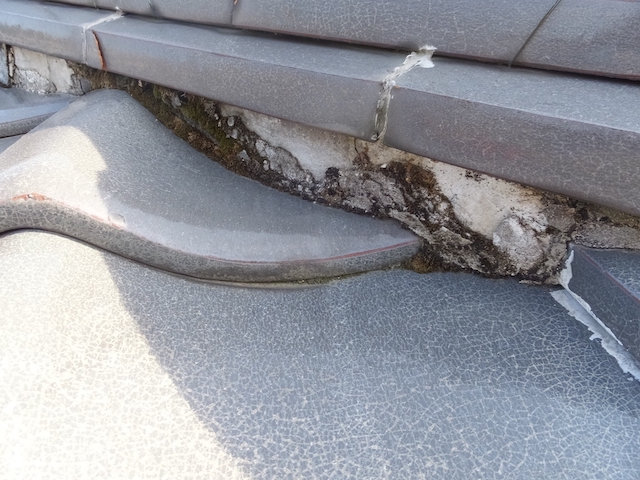 苔が発生した漆喰